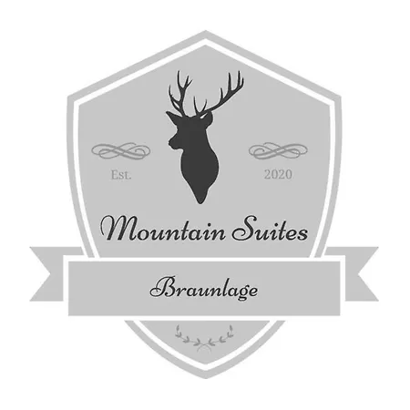 Mountain Suites Braunlage Extérieur photo